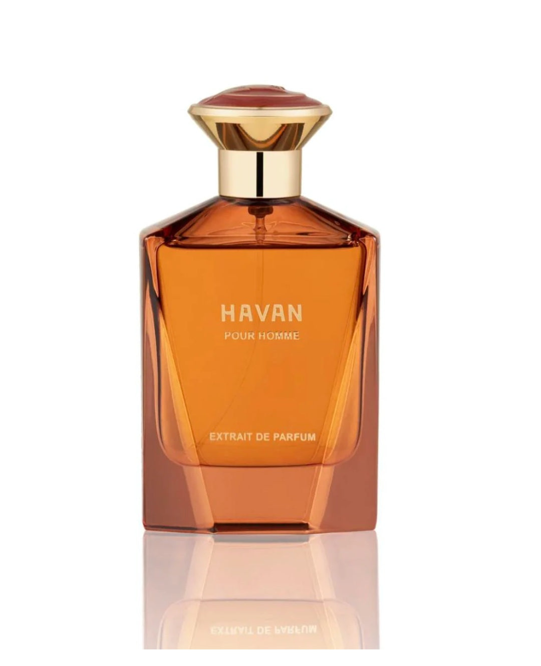 HAVAN EXTRAIT DE PARFUM 100ML FOR MEN BY FRAGRANCE STORY