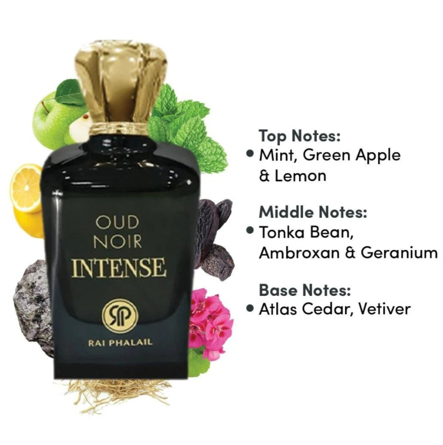 OUD NOIR INTENCE EDP 100ML FOR MEN BY RAIL PHALAIL